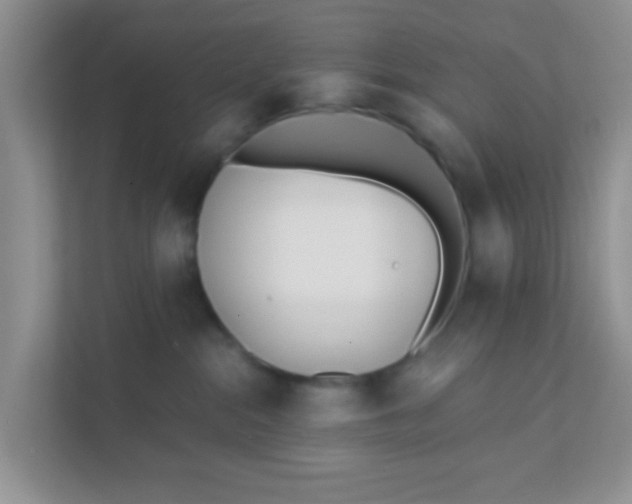 X0000111380284200907311059