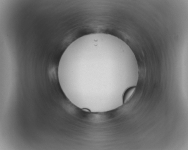 X0000111380286200907311059