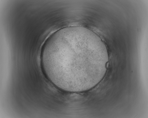 X0000111380290200907311059