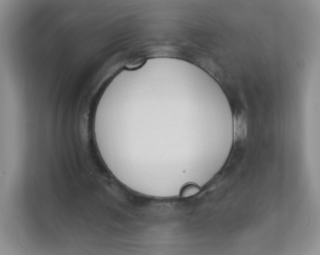 X0000111380291200907311059