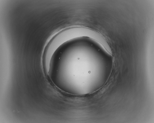 X0000111380292200907311059