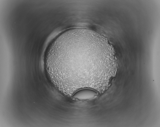 X0000111380294200907311059