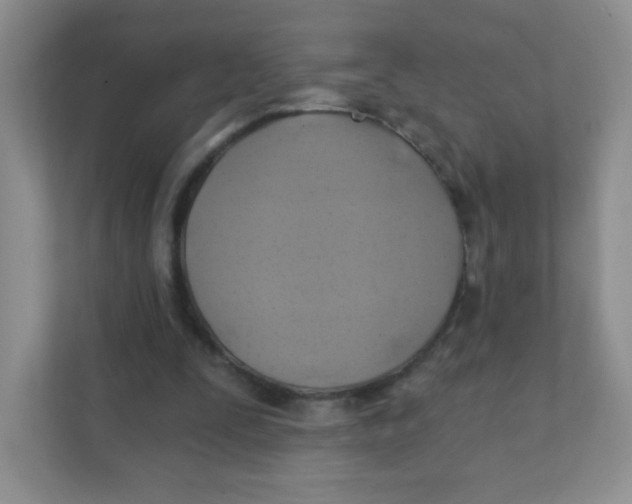 X0000111380295200907311059