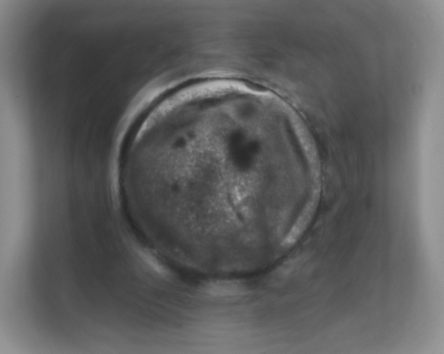 X0000111380296200907311059