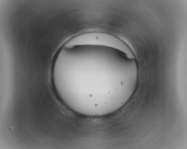 X0000111380297200907311059