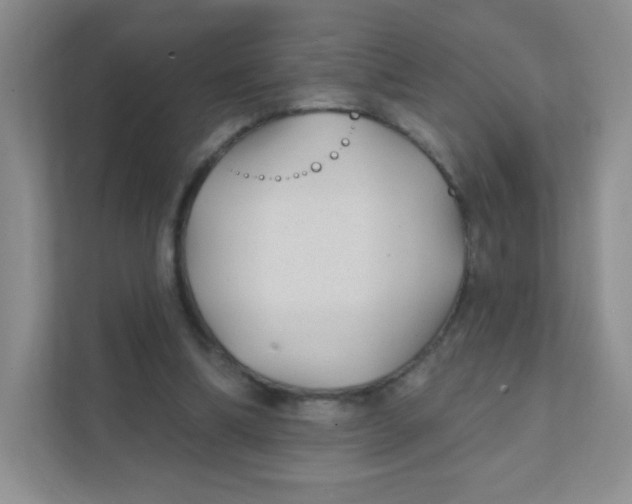 X0000111380298200907311059