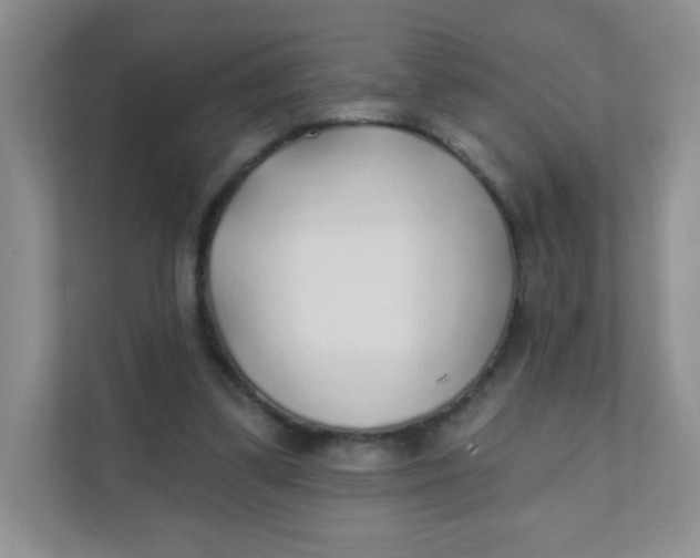 X0000111380299200907311059