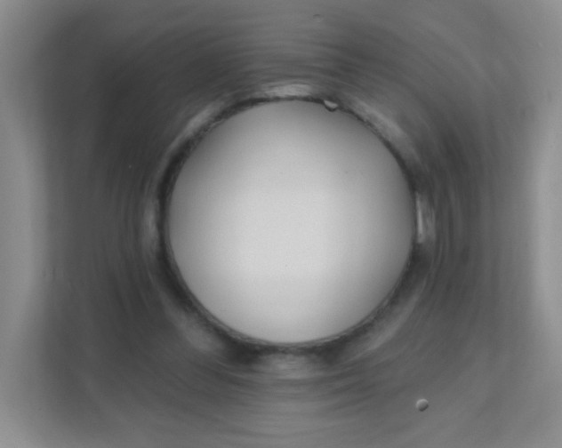 X0000111380300200907311059