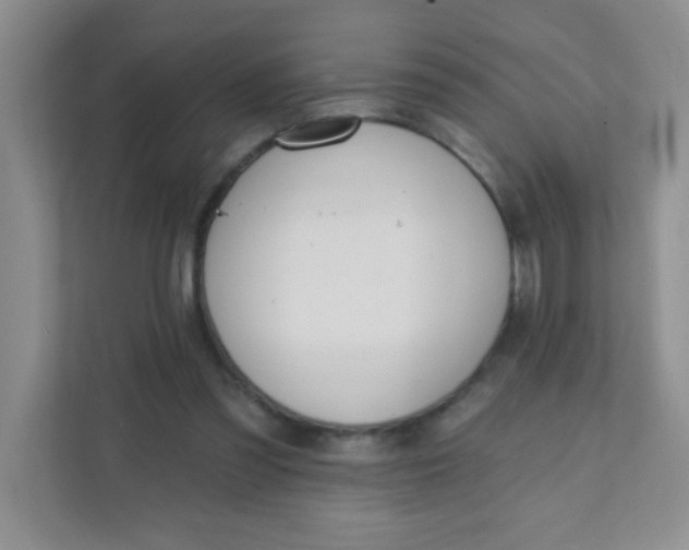 X0000111380301200907311059