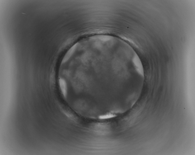 X0000111380303200907311059