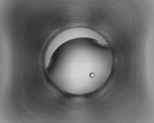 X0000111380304200907311059