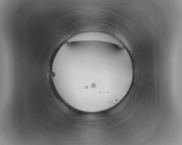 X0000111380305200907311059