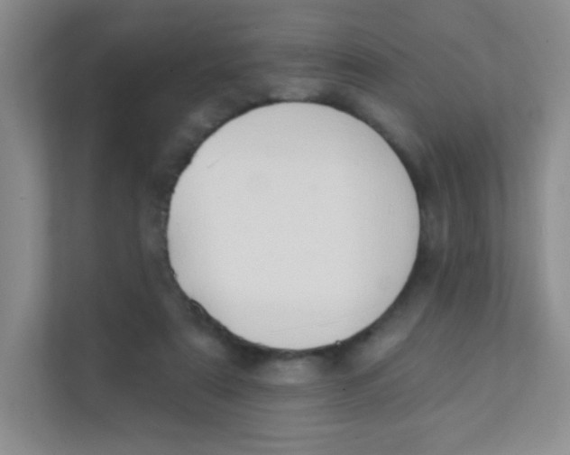 X0000111380307200907311059