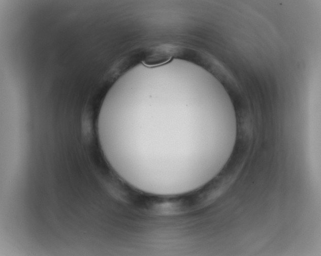 X0000111380312200907311059