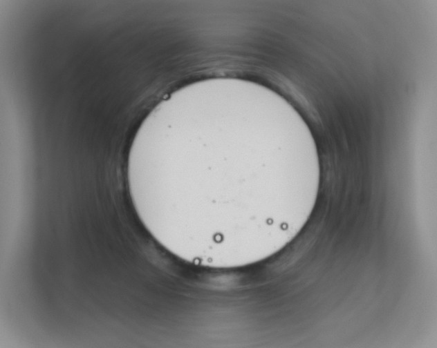 X0000111380313200907311059