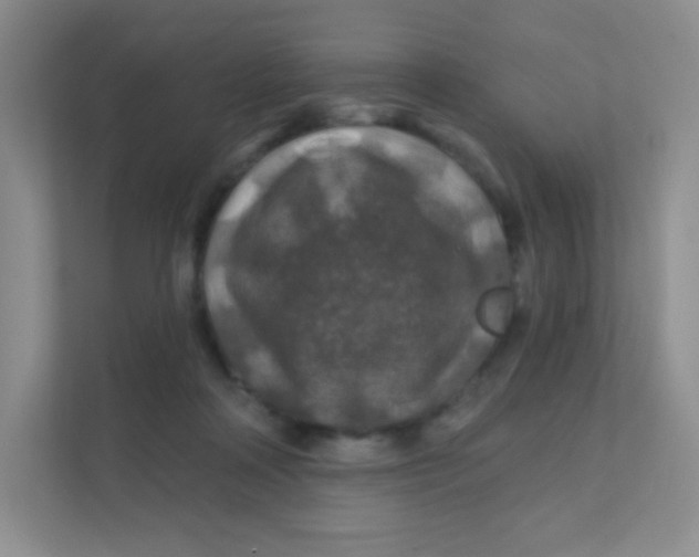 X0000111380314200907311059