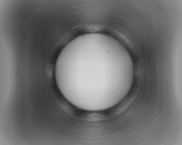 X0000111380315200907311059