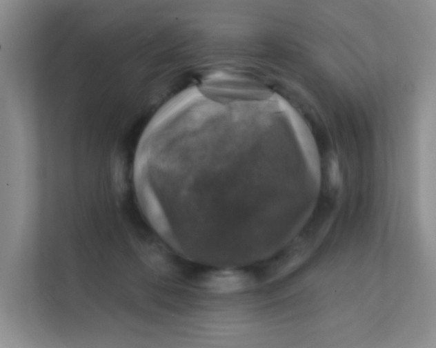 X0000111380316200907311058