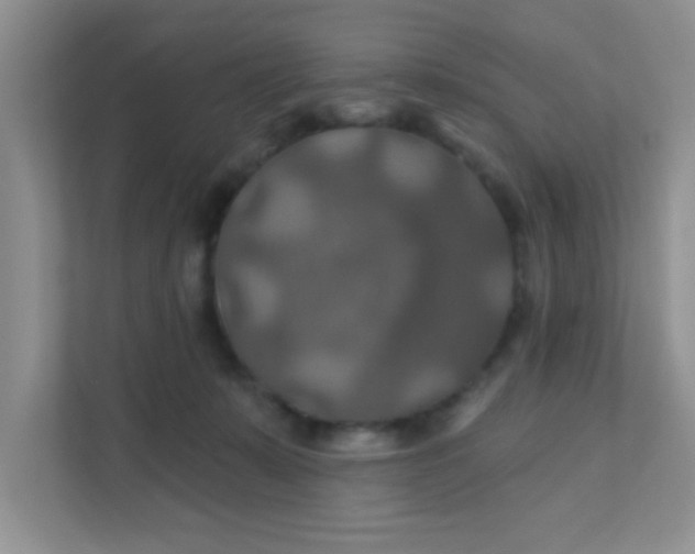 X0000111380319200907311058