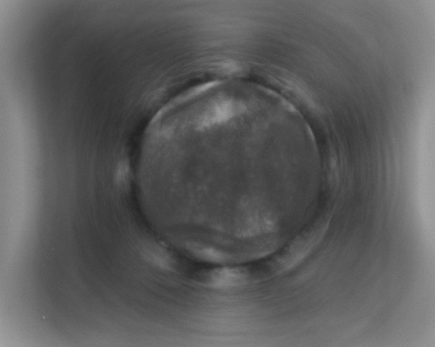 X0000111380320200907311058