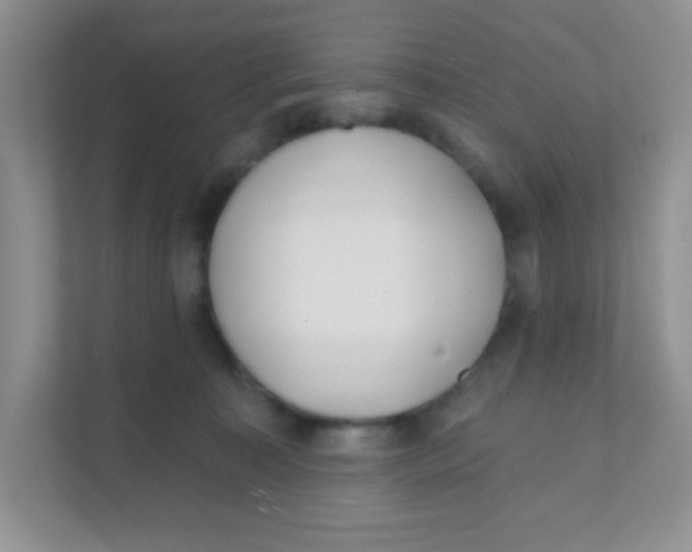 X0000111380323200907311058