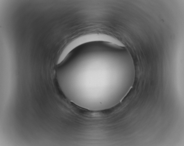 X0000111380324200907311058