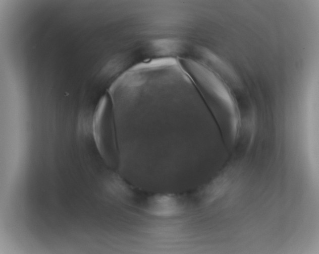 X0000111380325200907311058