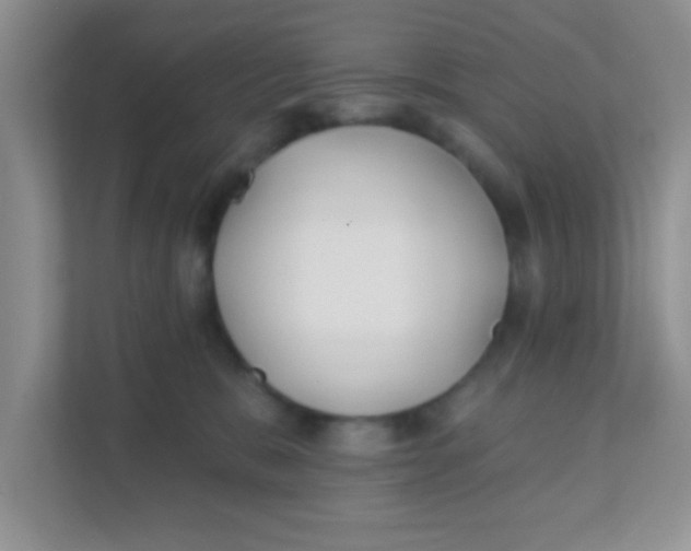 X0000111380327200907311058