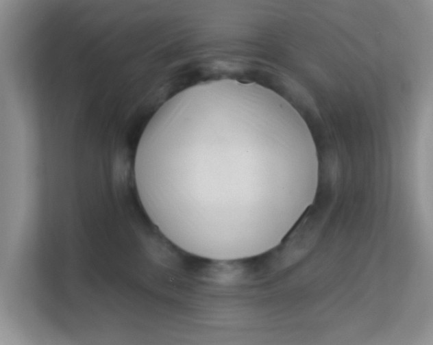 X0000111380328200907311058