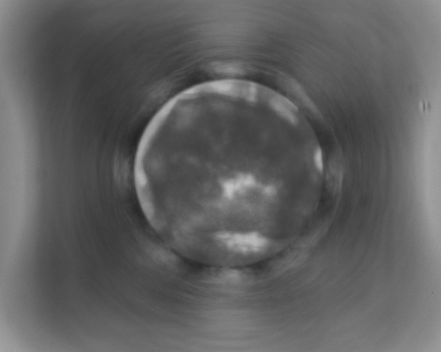 X0000111380330200907311058