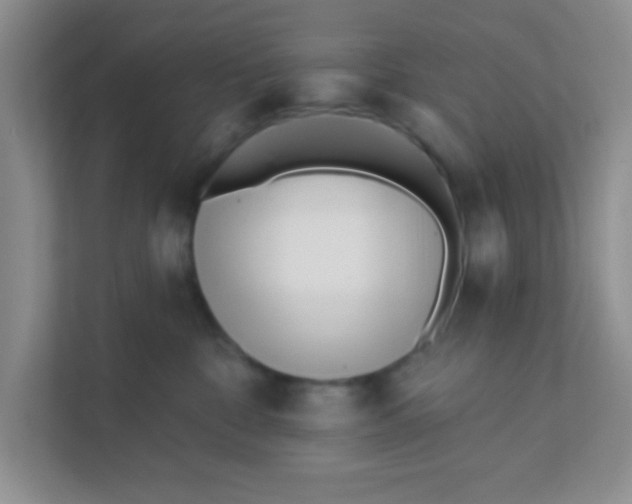 X0000111380332200907311058