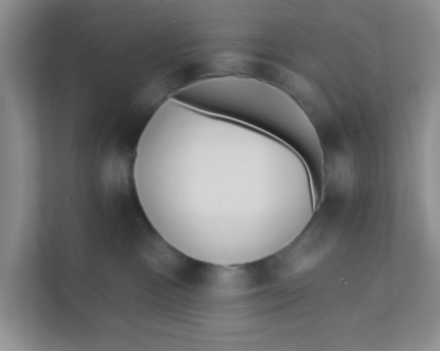 X0000111380333200907311058