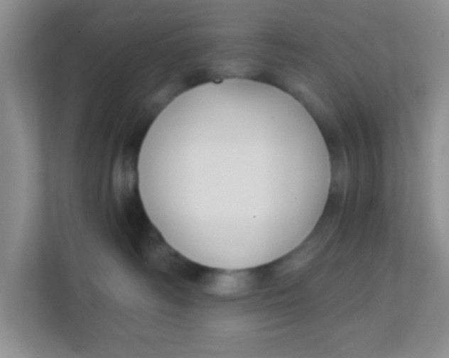 X0000111380334200907311058