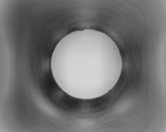 X0000111380335200907311058