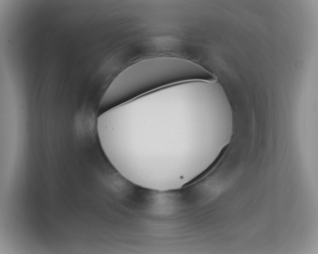 X0000111380336200907311058