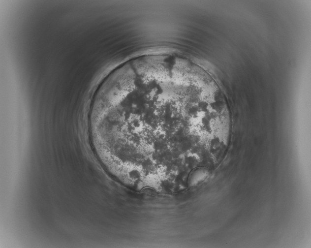 X0000111380337200907311058