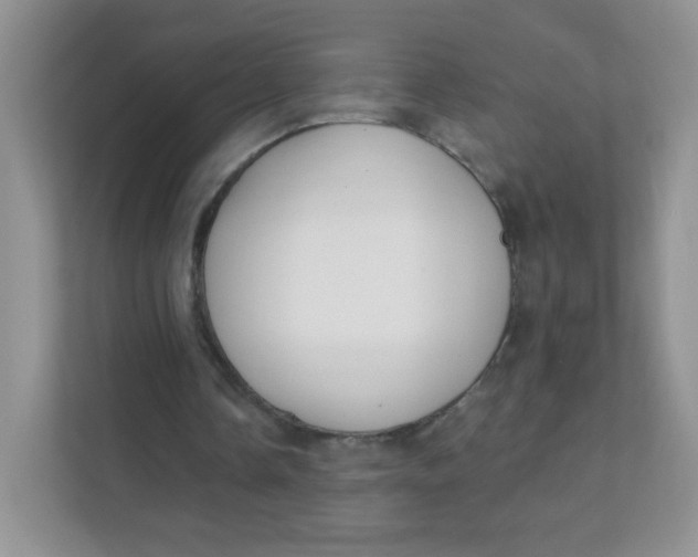 X0000111380338200907311058