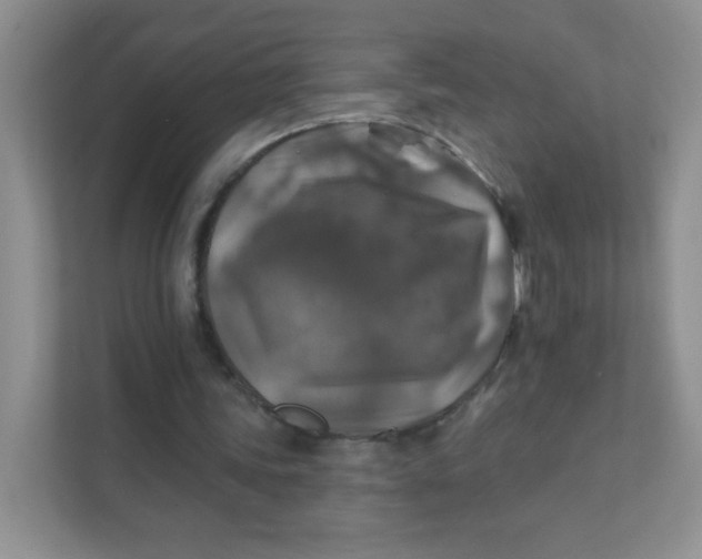 X0000111380339200907311058