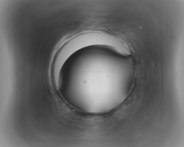 X0000111380340200907311058