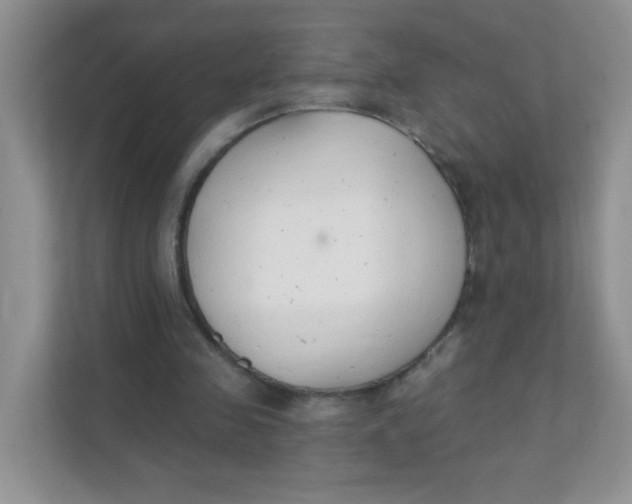 X0000111380341200907311058