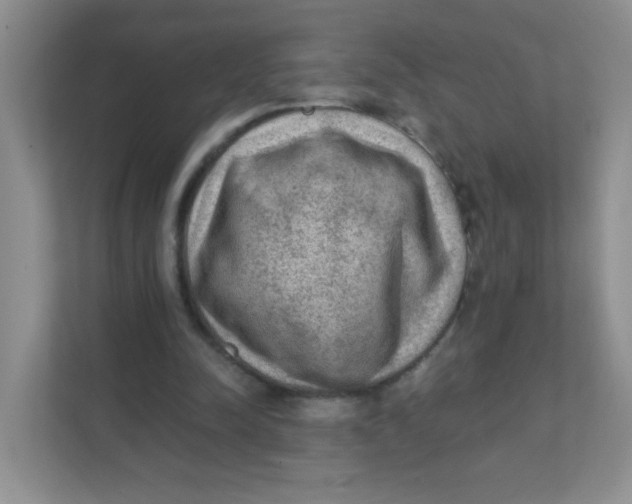 X0000111380342200907311058