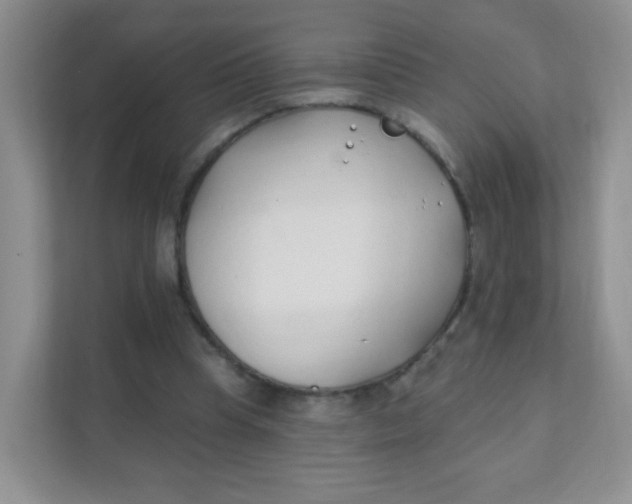 X0000111380345200907311058