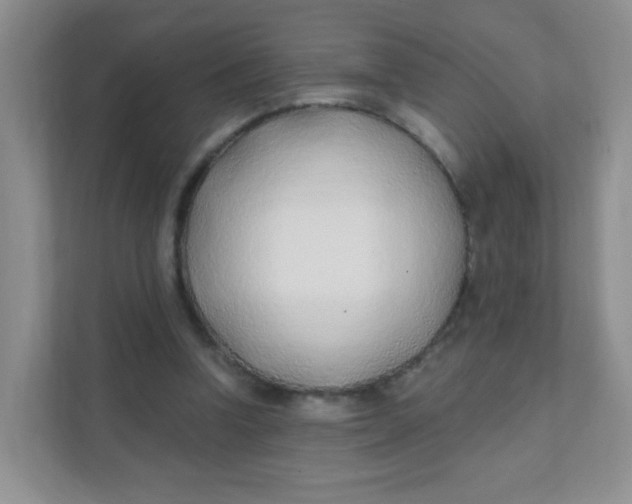 X0000111380346200907311058