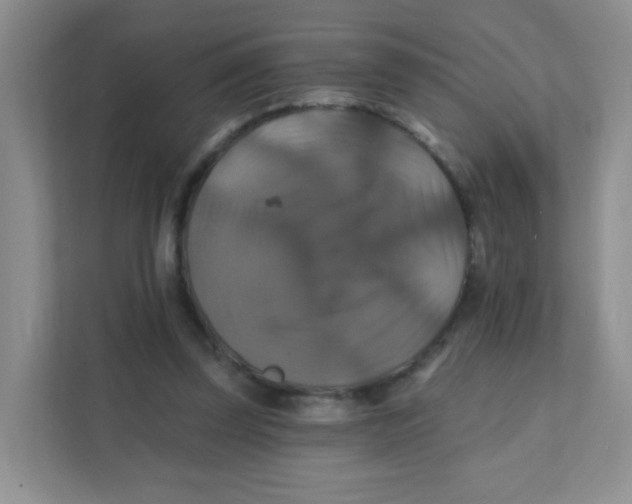 X0000111380347200907311058