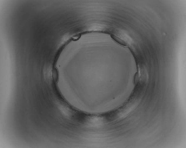 X0000111380348200907311058