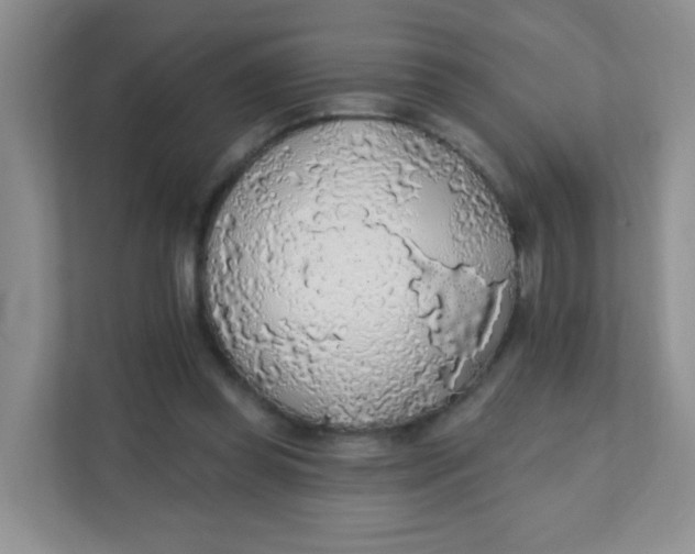 X0000111380349200907311058