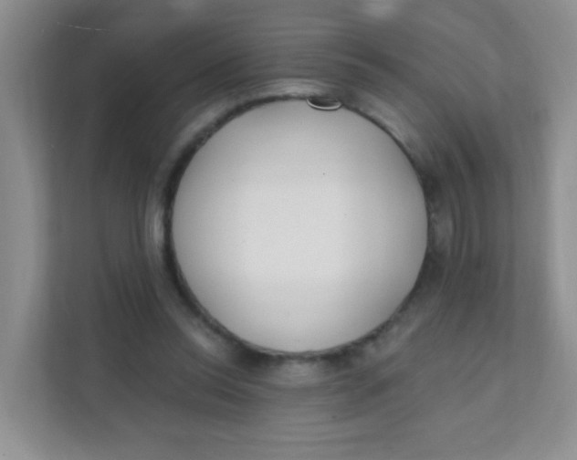 X0000111380350200907311058