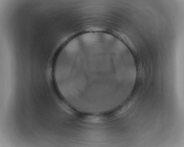 X0000111380351200907311058