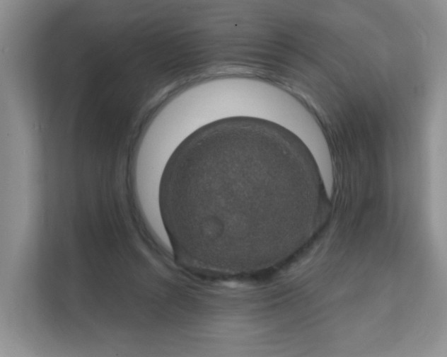 X0000111380352200907311058