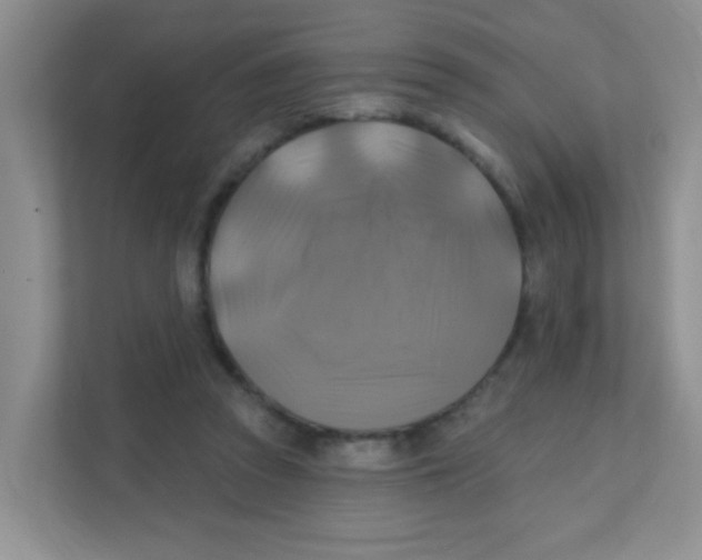 X0000111380353200907311058